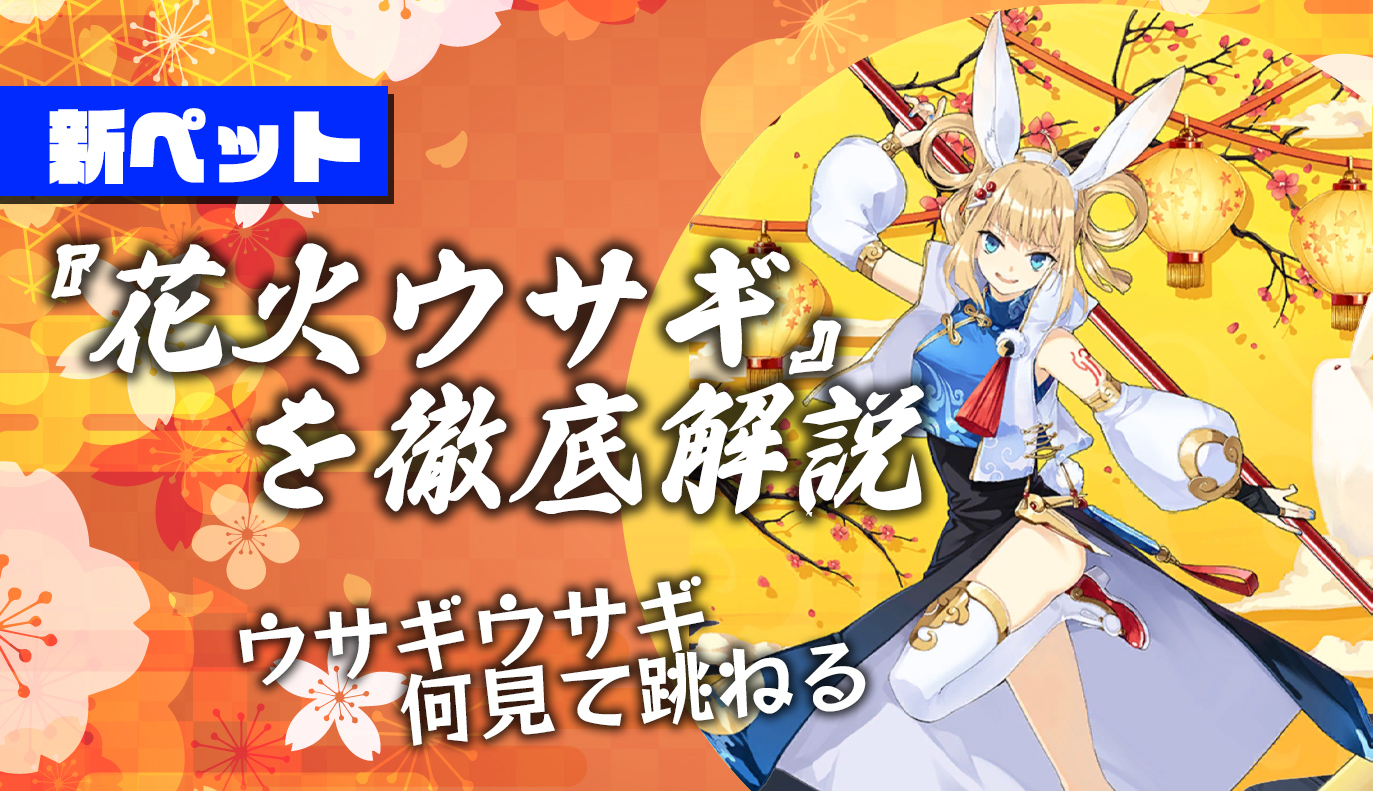新ペット紹介：花火ウサギ