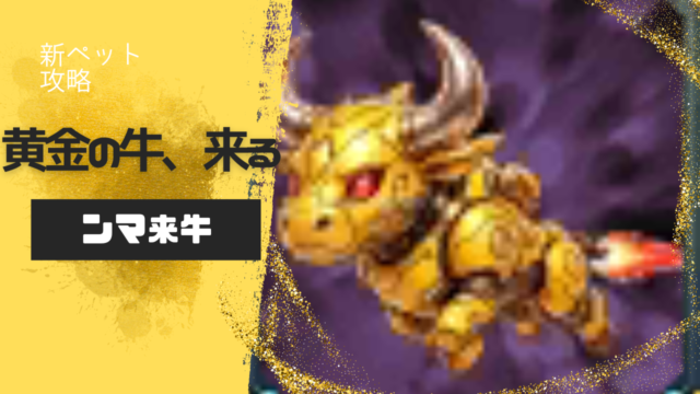 新ペット紹介：ンマ来牛